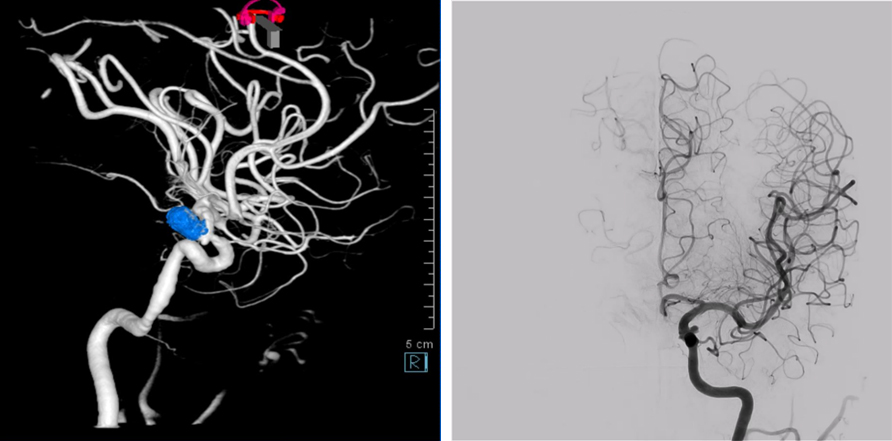 radiology06-02