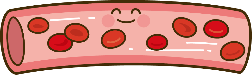 blood-vessel-illustration